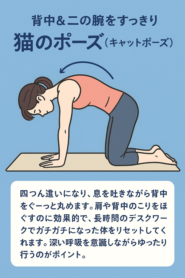 ネコのポーズ