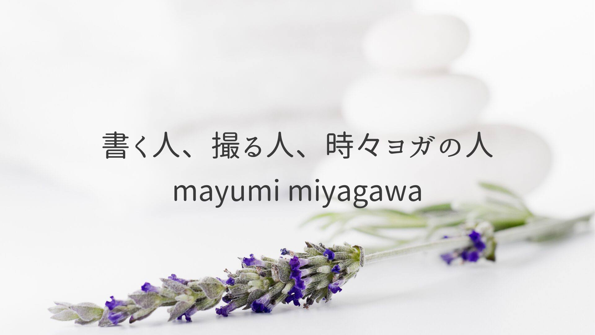 プロフアイキャッチ